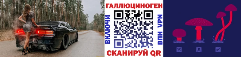 Купить закладки  Глазов  Псилоцибиновые грибы ЛСД 